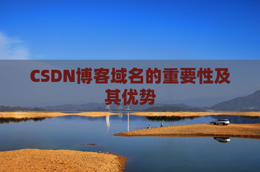 CSDN博客域名的重要性及其优势